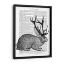 Retrato De Jackalope 1 - Fab Funky | Cuadro decorativo de Canvas Lab