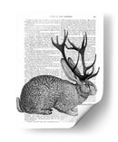 Retrato De Jackalope 1 - Fab Funky | Cuadro decorativo de Canvas Lab