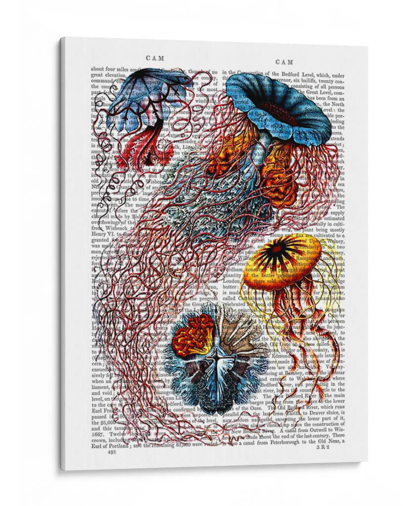 Anémona De Mar - Fab Funky | Cuadro decorativo de Canvas Lab