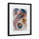 Anémona De Mar - Fab Funky | Cuadro decorativo de Canvas Lab