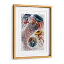Anémona De Mar - Fab Funky | Cuadro decorativo de Canvas Lab