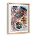 Anémona De Mar - Fab Funky | Cuadro decorativo de Canvas Lab