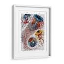 Anémona De Mar - Fab Funky | Cuadro decorativo de Canvas Lab