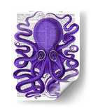 Pulpo Púrpura - Fab Funky | Cuadro decorativo de Canvas Lab