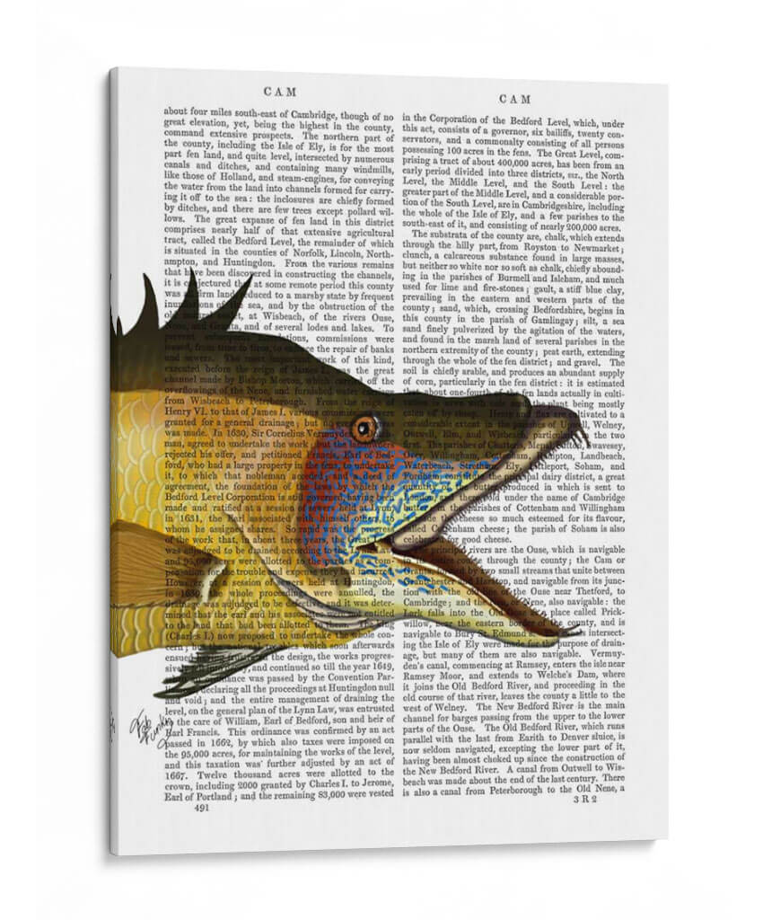 Great Hog Pesc - Fab Funky | Cuadro decorativo de Canvas Lab