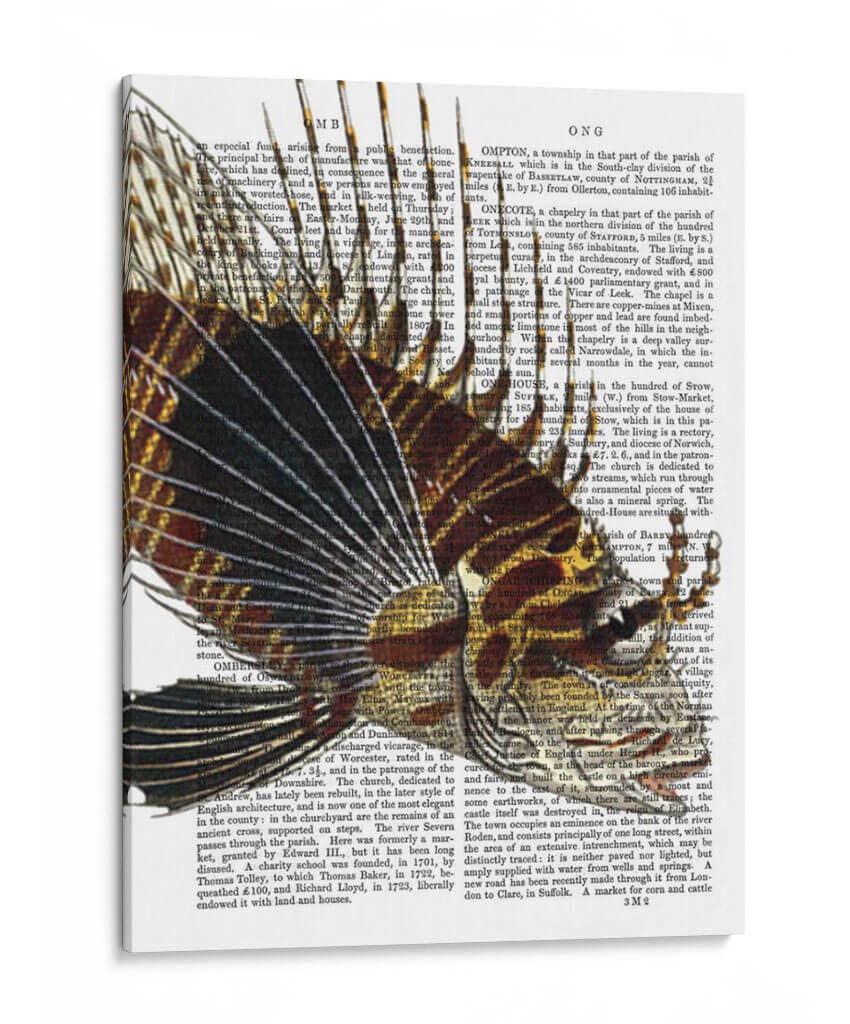 Pescado Espigado De La Vendimia - Fab Funky | Cuadro decorativo de Canvas Lab