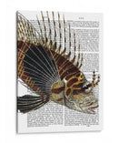 Pescado Espigado De La Vendimia - Fab Funky | Cuadro decorativo de Canvas Lab