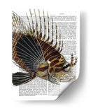 Pescado Espigado De La Vendimia - Fab Funky | Cuadro decorativo de Canvas Lab