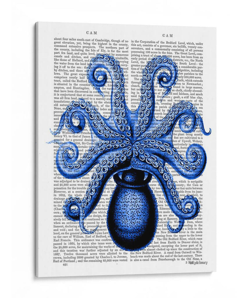 Pulpo Azul De La Vendimia 1 Debajo De La Parte Inferior - Fab Funky | Cuadro decorativo de Canvas Lab