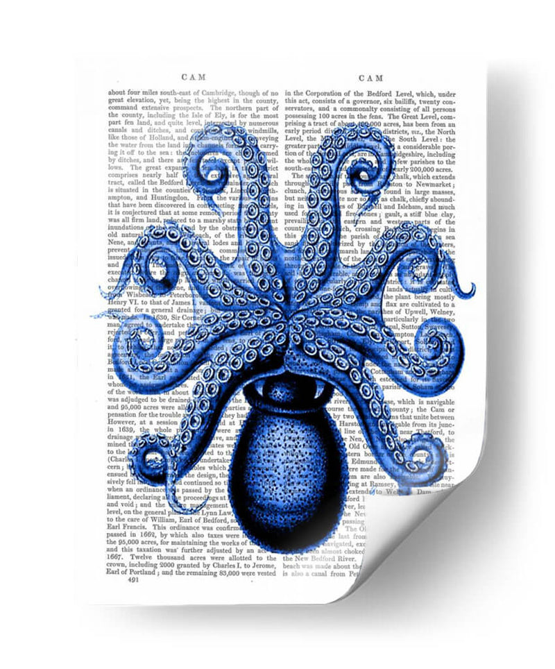 Pulpo Azul De La Vendimia 1 Debajo De La Parte Inferior - Fab Funky | Cuadro decorativo de Canvas Lab