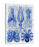 Pulpo Y Calamar Azul - Fab Funky | Cuadro decorativo de Canvas Lab