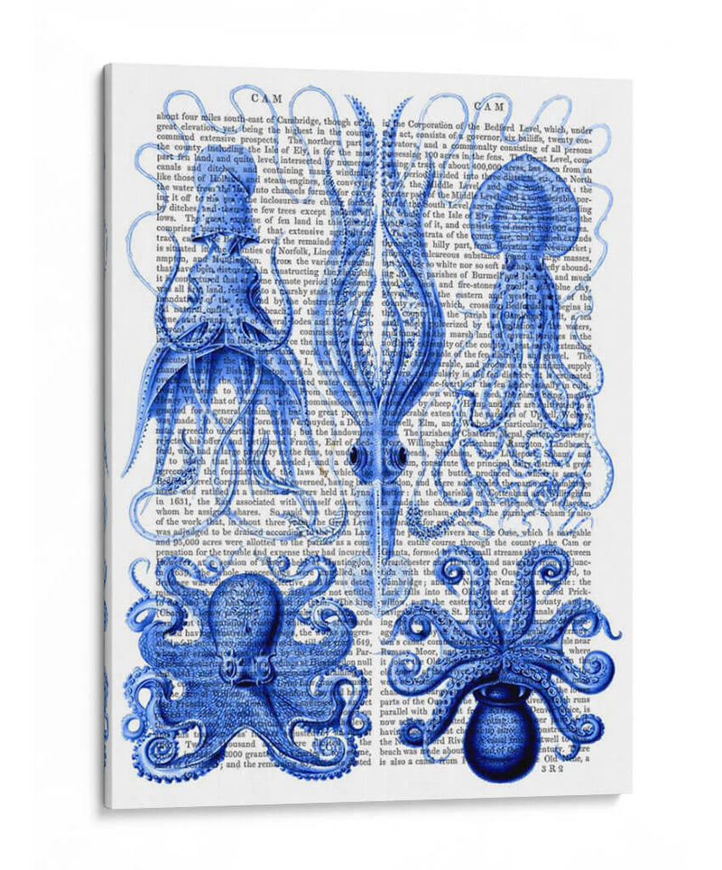 Pulpo Y Calamar Azul - Fab Funky | Cuadro decorativo de Canvas Lab