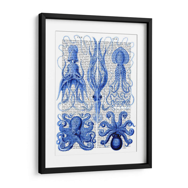 Pulpo Y Calamar Azul - Fab Funky | Cuadro decorativo de Canvas Lab