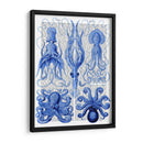 Pulpo Y Calamar Azul - Fab Funky | Cuadro decorativo de Canvas Lab