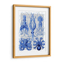 Pulpo Y Calamar Azul - Fab Funky | Cuadro decorativo de Canvas Lab
