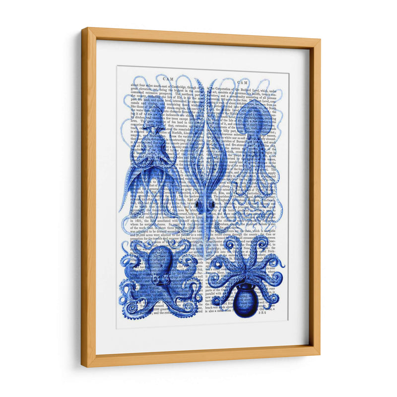 Pulpo Y Calamar Azul - Fab Funky | Cuadro decorativo de Canvas Lab