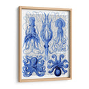 Pulpo Y Calamar Azul - Fab Funky | Cuadro decorativo de Canvas Lab