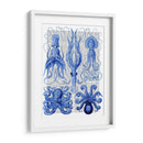 Pulpo Y Calamar Azul - Fab Funky | Cuadro decorativo de Canvas Lab