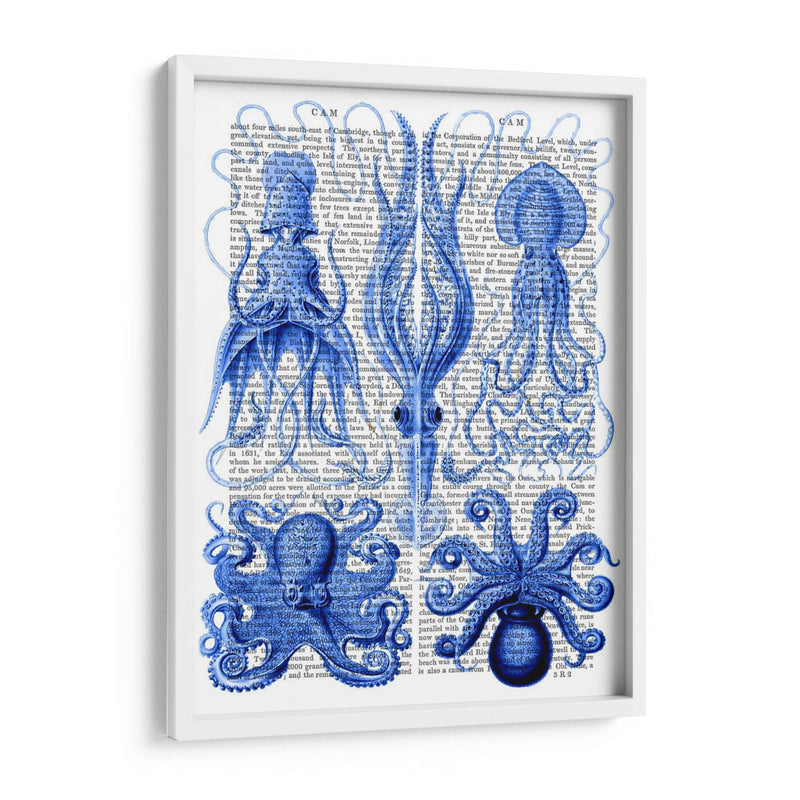 Pulpo Y Calamar Azul - Fab Funky | Cuadro decorativo de Canvas Lab