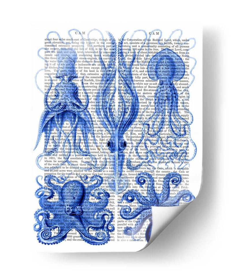 Pulpo Y Calamar Azul - Fab Funky | Cuadro decorativo de Canvas Lab