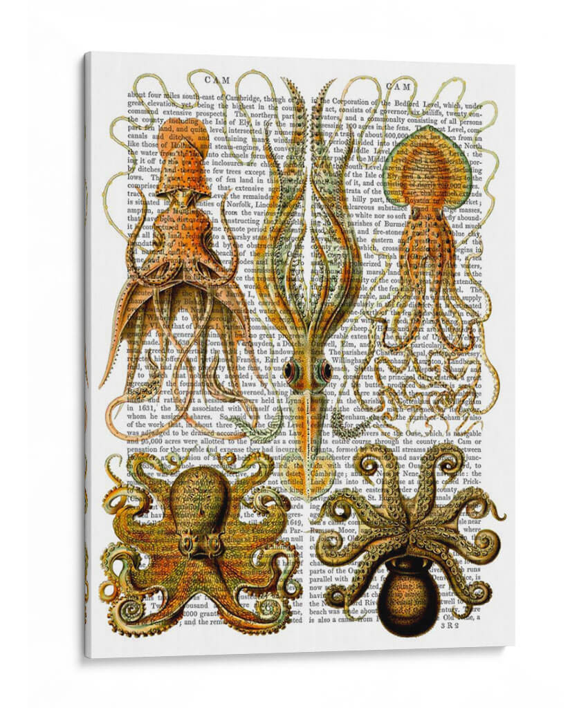 Pulpo Y Calamar - Fab Funky | Cuadro decorativo de Canvas Lab