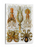 Pulpo Y Calamar - Fab Funky | Cuadro decorativo de Canvas Lab