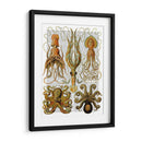 Pulpo Y Calamar - Fab Funky | Cuadro decorativo de Canvas Lab