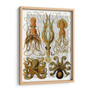Pulpo Y Calamar - Fab Funky | Cuadro decorativo de Canvas Lab