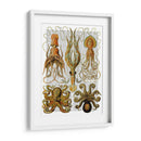 Pulpo Y Calamar - Fab Funky | Cuadro decorativo de Canvas Lab