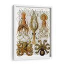 Pulpo Y Calamar - Fab Funky | Cuadro decorativo de Canvas Lab