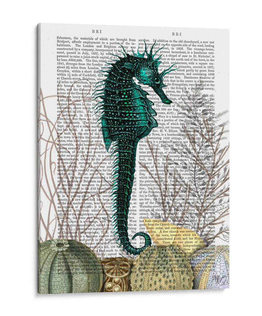 Seahorse Y Erizos De Mar. - Fab Funky | Cuadro decorativo de Canvas Lab