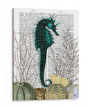 Seahorse Y Erizos De Mar. - Fab Funky | Cuadro decorativo de Canvas Lab