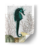 Seahorse Y Erizos De Mar. - Fab Funky | Cuadro decorativo de Canvas Lab