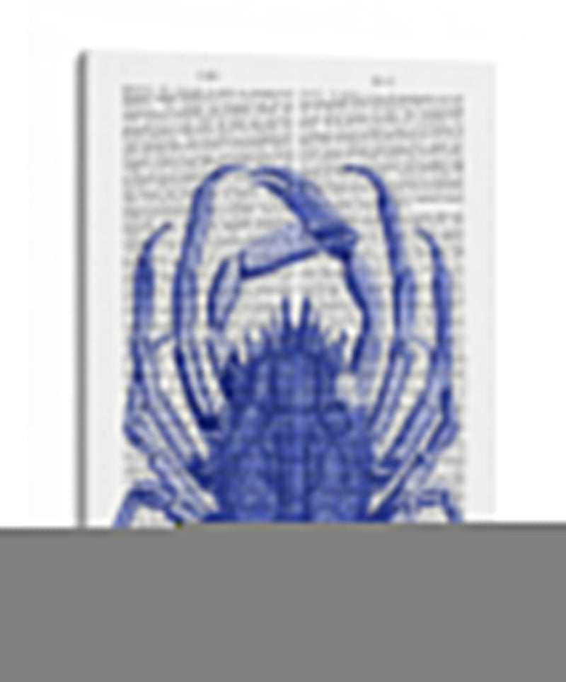 Cangrejo Azul - Fab Funky | Cuadro decorativo de Canvas Lab