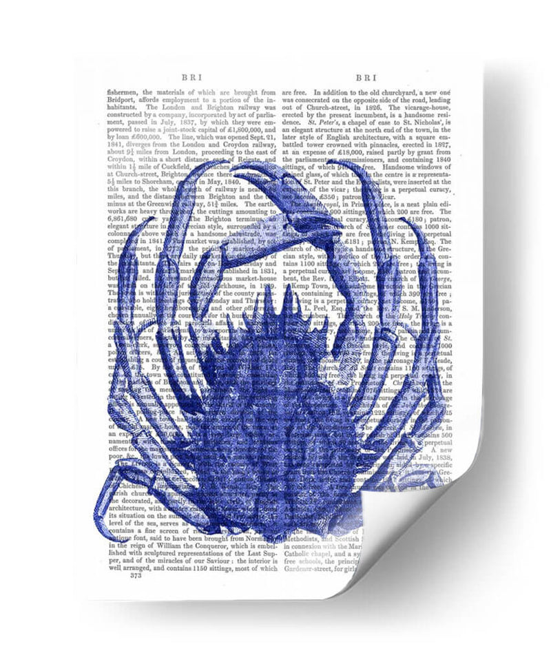 Cangrejo Azul - Fab Funky | Cuadro decorativo de Canvas Lab
