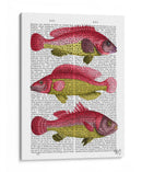 Trío De Fantasía Rojo Y Amarillo - Fab Funky | Cuadro decorativo de Canvas Lab