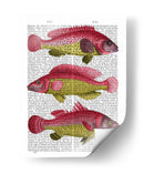 Trío De Fantasía Rojo Y Amarillo - Fab Funky | Cuadro decorativo de Canvas Lab
