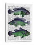 Trío De Pescado Azul Y Verde - Fab Funky | Cuadro decorativo de Canvas Lab