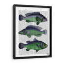 Trío De Pescado Azul Y Verde - Fab Funky | Cuadro decorativo de Canvas Lab