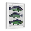 Trío De Pescado Azul Y Verde - Fab Funky | Cuadro decorativo de Canvas Lab