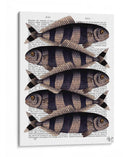Cinco Pescados A Rayas - Fab Funky | Cuadro decorativo de Canvas Lab