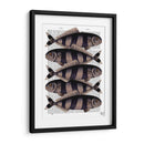 Cinco Pescados A Rayas - Fab Funky | Cuadro decorativo de Canvas Lab