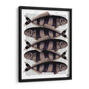 Cinco Pescados A Rayas - Fab Funky | Cuadro decorativo de Canvas Lab