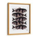 Cinco Pescados A Rayas - Fab Funky | Cuadro decorativo de Canvas Lab
