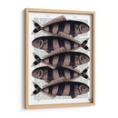 Cinco Pescados A Rayas - Fab Funky | Cuadro decorativo de Canvas Lab