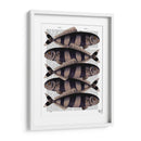 Cinco Pescados A Rayas - Fab Funky | Cuadro decorativo de Canvas Lab