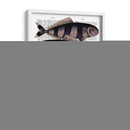 Cinco Pescados A Rayas - Fab Funky | Cuadro decorativo de Canvas Lab