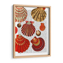 Conchas De Almejas Rojas - Fab Funky | Cuadro decorativo de Canvas Lab