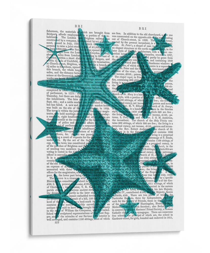 Colección Green Starfish - Fab Funky | Cuadro decorativo de Canvas Lab