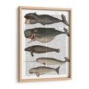 Cinco Ballenas Vintage - Fab Funky | Cuadro decorativo de Canvas Lab